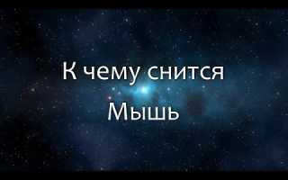 Сон белая мышь. Кто-то ловил мышей во сне? К чему снятся белые мыши во сне