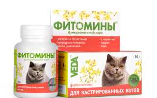 Пробиотик для собак и кошек веда. Фитомины Фитомины veda для кошек
