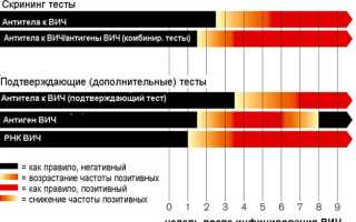 Иммунный блот. Иммунный блоттинг