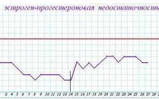 Расчет базальной температуры. График бт онлайн