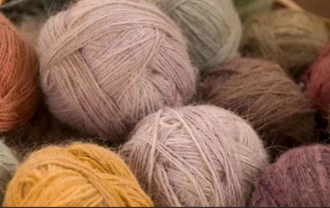 Какой бывает природный цвет волокон шерсти оттенки шерсти у разных животных